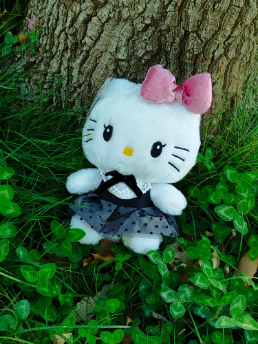 عروسک پولیشی کیتی سایز 20cm