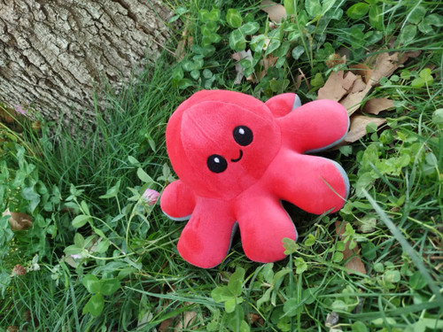 هشت پا دو چهره