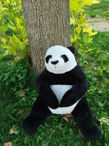 پاندا بزرگ 80cm